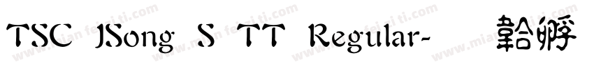 TSC JSong S TT Regular字体转换